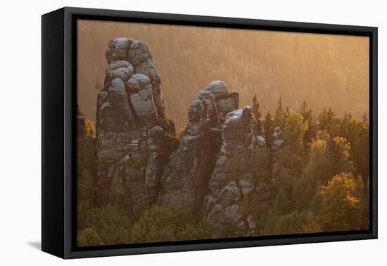 Sandstone Rocks, Saxon Switzerland, Evening Light-Uwe Steffens-Framed Premier Image Canvas