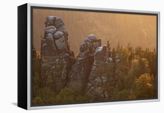 Sandstone Rocks, Saxon Switzerland, Evening Light-Uwe Steffens-Framed Premier Image Canvas