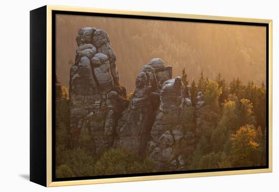 Sandstone Rocks, Saxon Switzerland, Evening Light-Uwe Steffens-Framed Premier Image Canvas