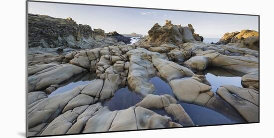 Sandstone, Salt Point State Park, Sonoma Coast, California, Usa-Rainer Mirau-Mounted Photographic Print