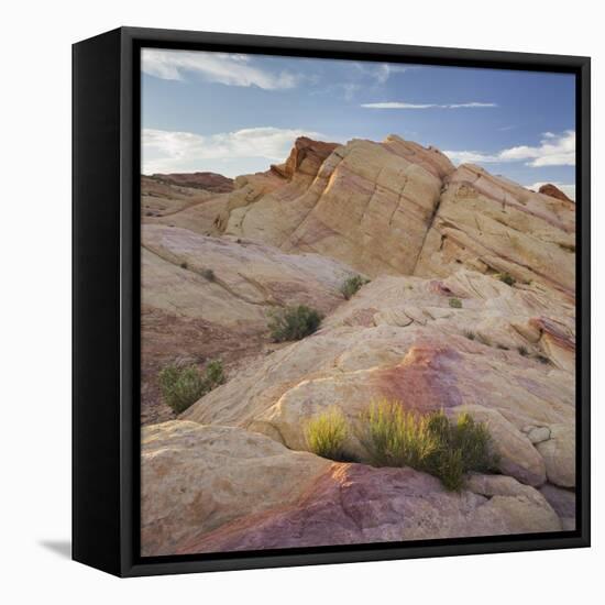 Sandstone, Valley of Fire State Park, Nevada, Usa-Rainer Mirau-Framed Premier Image Canvas