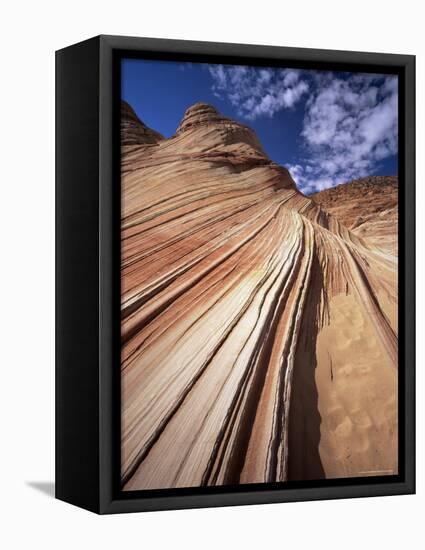 Sandstone Wave, Paria Canyon, Vermillion Cliffs Wilderness, Arizona, USA-Lee Frost-Framed Premier Image Canvas