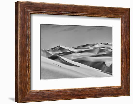 Sandwich Harbor, Namibia. Gull Flies over Immense Sand Dunes-Janet Muir-Framed Photographic Print