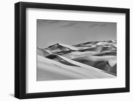 Sandwich Harbor, Namibia. Gull Flies over Immense Sand Dunes-Janet Muir-Framed Photographic Print