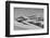 Sandwich Harbor, Namibia. Gull Flies over Immense Sand Dunes-Janet Muir-Framed Photographic Print