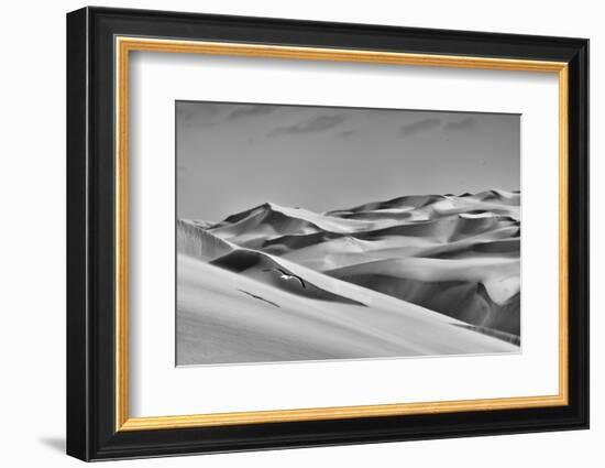 Sandwich Harbor, Namibia. Gull Flies over Immense Sand Dunes-Janet Muir-Framed Photographic Print