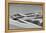 Sandwich Harbor, Namibia. Gull Flies over Immense Sand Dunes-Janet Muir-Framed Premier Image Canvas