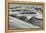 Sandwich Harbor, Namibia. Gull Flies over Immense Sand Dunes-Janet Muir-Framed Premier Image Canvas