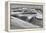 Sandwich Harbor, Namibia. Gull Flies over Immense Sand Dunes-Janet Muir-Framed Premier Image Canvas