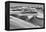 Sandwich Harbor, Namibia. Gull Flies over Immense Sand Dunes-Janet Muir-Framed Premier Image Canvas