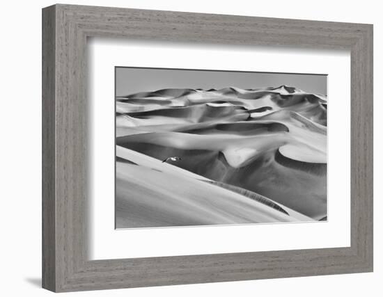 Sandwich Harbor, Namibia. Gull Flies over Immense Sand Dunes-Janet Muir-Framed Photographic Print