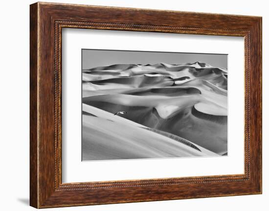 Sandwich Harbor, Namibia. Gull Flies over Immense Sand Dunes-Janet Muir-Framed Photographic Print