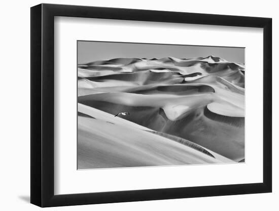 Sandwich Harbor, Namibia. Gull Flies over Immense Sand Dunes-Janet Muir-Framed Photographic Print