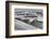 Sandwich Harbor, Namibia. Gull Flies over Immense Sand Dunes-Janet Muir-Framed Photographic Print