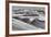 Sandwich Harbor, Namibia. Gull Flies over Immense Sand Dunes-Janet Muir-Framed Photographic Print