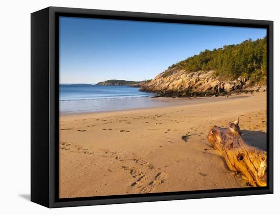 Sandy Beach, Acadia National Park, Mount Desert Island, Maine, New England, USA, North America-Alan Copson-Framed Premier Image Canvas