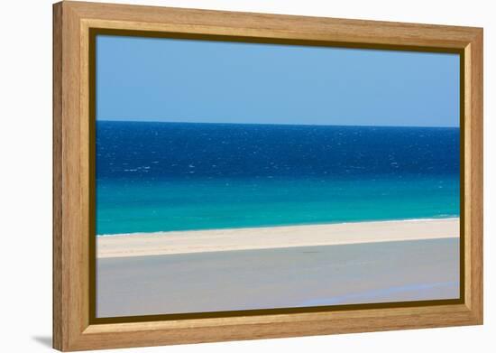 Sandy beach and bright blue ocean, Fuerteventura-Edwin Giesbers-Framed Premier Image Canvas