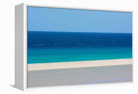 Sandy beach and bright blue ocean, Fuerteventura-Edwin Giesbers-Framed Premier Image Canvas