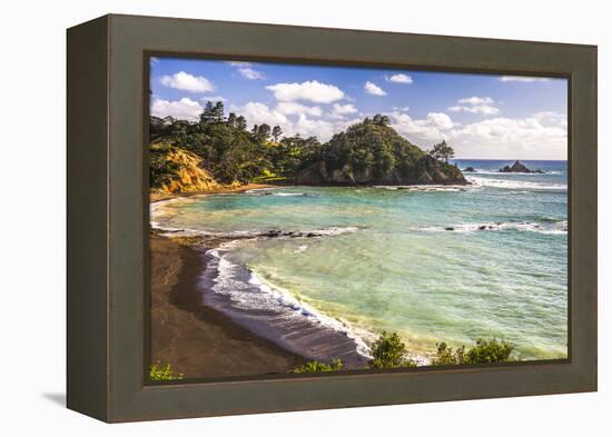 Sandy Beach on Tutukaka Coast, Northland Region, North Island, New Zealand, Pacific-Matthew Williams-Ellis-Framed Premier Image Canvas