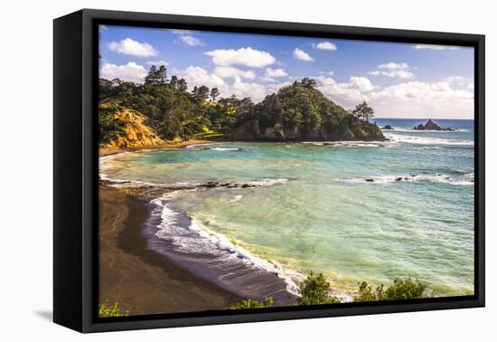 Sandy Beach on Tutukaka Coast, Northland Region, North Island, New Zealand, Pacific-Matthew Williams-Ellis-Framed Premier Image Canvas