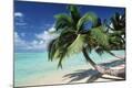 Premium Photographic Print