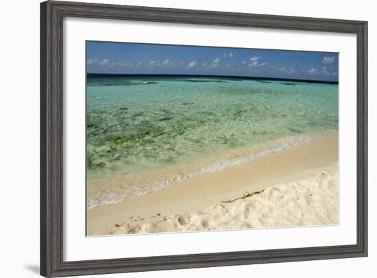 Sandy Beachfront View, Goff Caye, Belize-Cindy Miller Hopkins-Framed Photographic Print