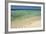 Sandy Beachfront View, Goff Caye, Belize-Cindy Miller Hopkins-Framed Photographic Print