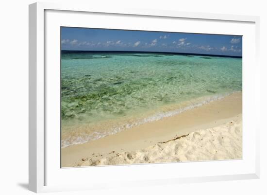 Sandy Beachfront View, Goff Caye, Belize-Cindy Miller Hopkins-Framed Photographic Print