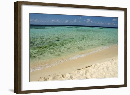 Sandy Beachfront View, Goff Caye, Belize-Cindy Miller Hopkins-Framed Photographic Print