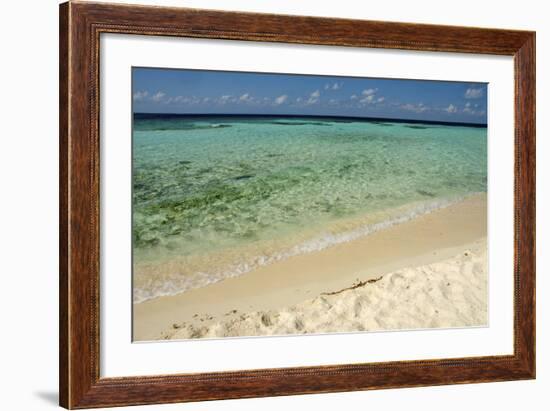 Sandy Beachfront View, Goff Caye, Belize-Cindy Miller Hopkins-Framed Photographic Print