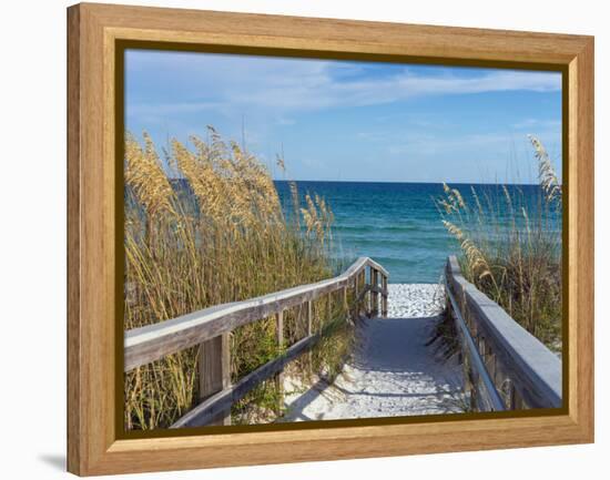 Sandy Boardwalk Path to a Snow White Beach on the Gulf of Mexico with Ripe Sea Oats in the Dunes-forestpath-Framed Premier Image Canvas