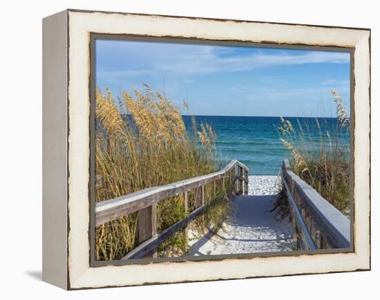 Sandy Boardwalk Path to a Snow White Beach on the Gulf of Mexico with Ripe Sea Oats in the Dunes-forestpath-Framed Premier Image Canvas