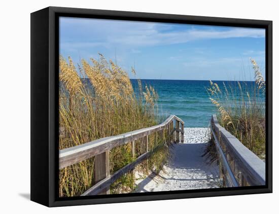 Sandy Boardwalk Path to a Snow White Beach on the Gulf of Mexico with Ripe Sea Oats in the Dunes-forestpath-Framed Premier Image Canvas
