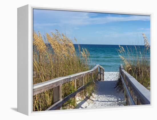 Sandy Boardwalk Path to a Snow White Beach on the Gulf of Mexico with Ripe Sea Oats in the Dunes-forestpath-Framed Premier Image Canvas