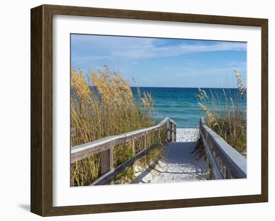 Sandy Boardwalk Path to a Snow White Beach on the Gulf of Mexico with Ripe Sea Oats in the Dunes-forestpath-Framed Photographic Print