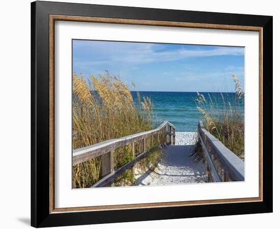 Sandy Boardwalk Path to a Snow White Beach on the Gulf of Mexico with Ripe Sea Oats in the Dunes-forestpath-Framed Photographic Print