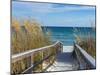 Sandy Boardwalk Path to a Snow White Beach on the Gulf of Mexico with Ripe Sea Oats in the Dunes-forestpath-Mounted Photographic Print