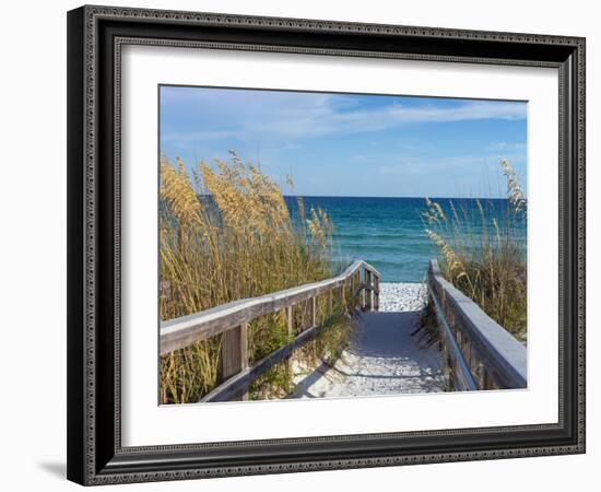 Sandy Boardwalk Path to a Snow White Beach on the Gulf of Mexico with Ripe Sea Oats in the Dunes-forestpath-Framed Photographic Print