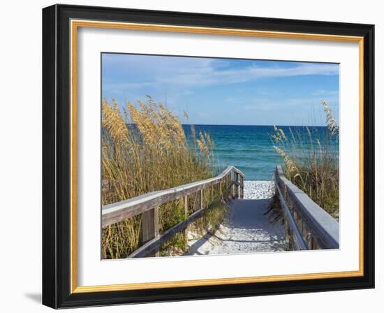 Sandy Boardwalk Path to a Snow White Beach on the Gulf of Mexico with Ripe Sea Oats in the Dunes-forestpath-Framed Photographic Print