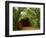 Sandy Creek Covered Bridge, Jefferson County, Missouri, USA-Charles Gurche-Framed Photographic Print