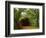 Sandy Creek Covered Bridge, Jefferson County, Missouri, USA-Charles Gurche-Framed Photographic Print