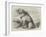 Sandy, from the Crimea, the Dog of the Sappers and Miners-null-Framed Giclee Print