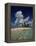 Sandy Island, Anguilla-null-Framed Premier Image Canvas