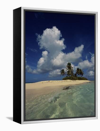 Sandy Island, Anguilla-null-Framed Premier Image Canvas