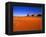 Sandy Landscape in Monument Valley-Robert Glusic-Framed Premier Image Canvas