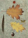Autumn Leaf III-Sandy Lloyd-Art Print