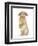 Sandy Lop Rabbit Sitting Up on its Haunches-Mark Taylor-Framed Photographic Print