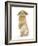 Sandy Lop Rabbit Sitting Up on its Haunches-Mark Taylor-Framed Photographic Print