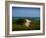 Sandy Path on Martha's Vineyard Beach.-James Shive-Framed Photographic Print