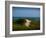 Sandy Path on Martha's Vineyard Beach.-James Shive-Framed Photographic Print